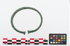 Foto von Bronzearmreif (NHMW-PRAE-023870)
